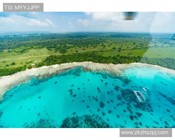 巴拿马与百慕达的精彩对决分析及历史交锋回顾